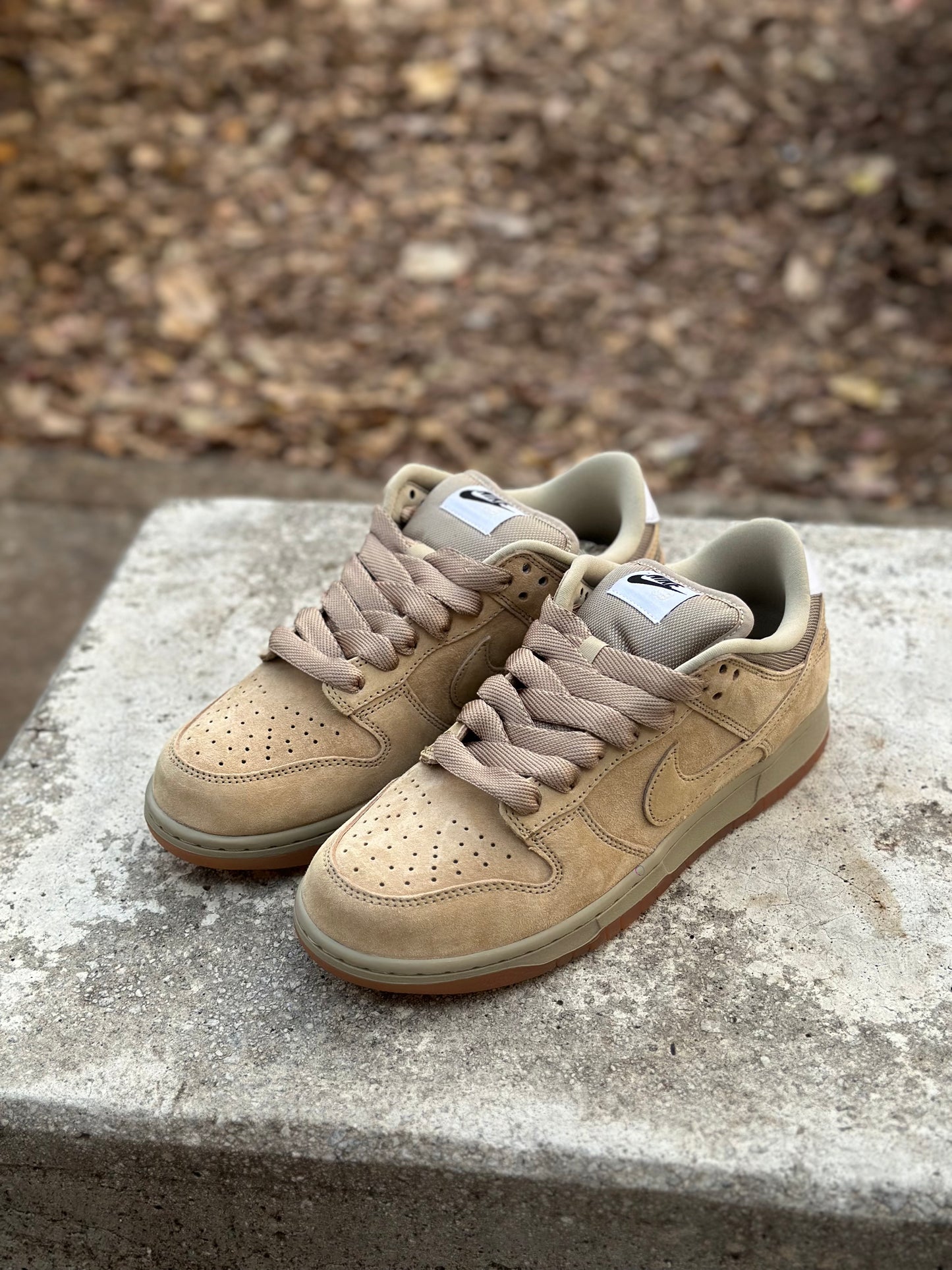 Nike SB's Dunk Low Pro B